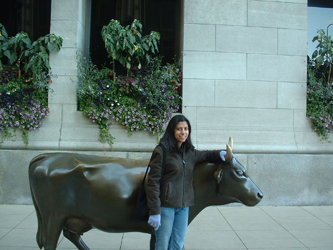 Sharmin and the Cow