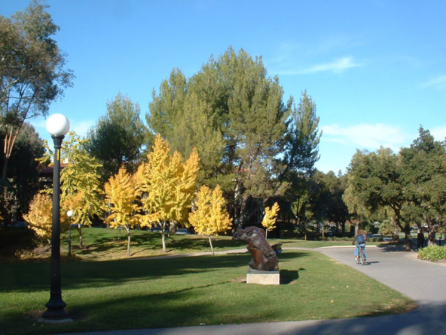 A Sculpture
