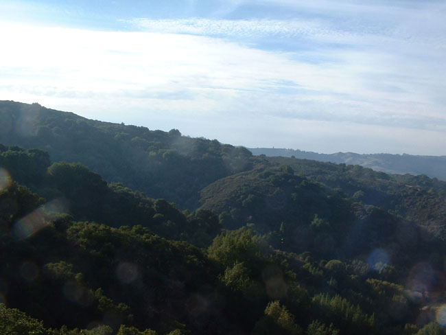 The Foothills 1