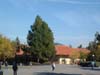 White Plaza
