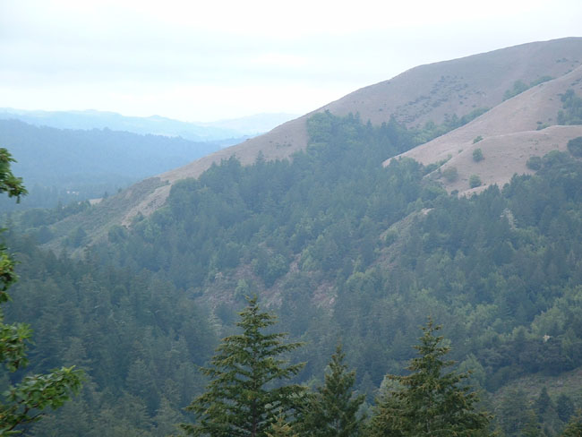 37 The Hills
