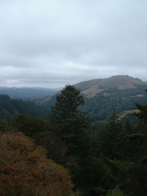 38 The Hills