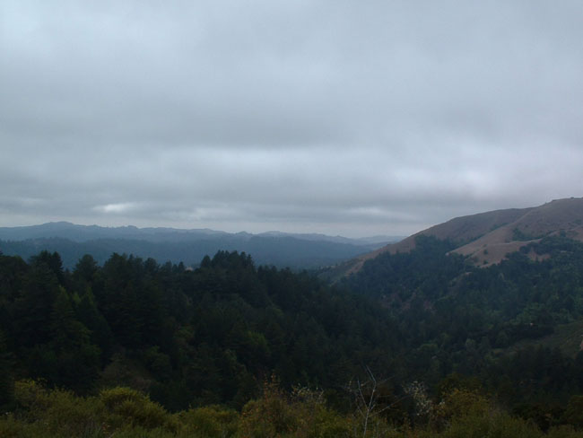 39 The Hills
