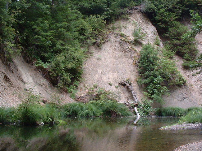 44 A Pond