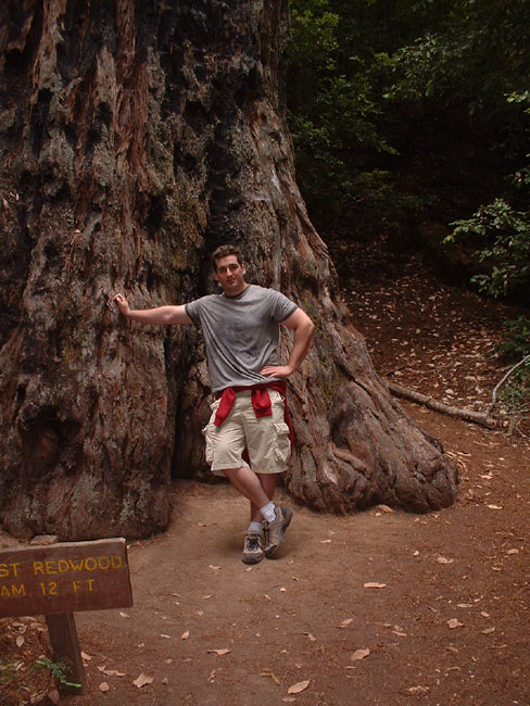 45 Bojan and a Tree