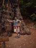 45 Bojan and a Tree